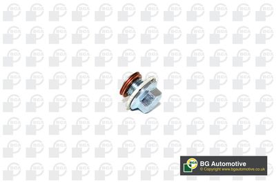 Пробка масляного поддона NISSAN 1112801M00