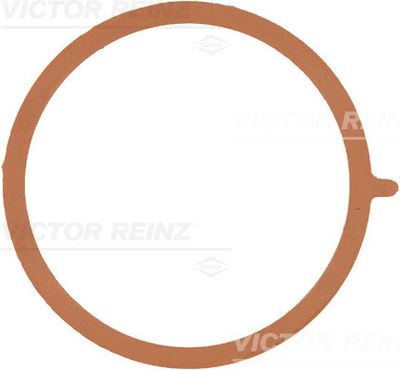 Прокладка впускного коллектора VICTOR REINZ 713895300