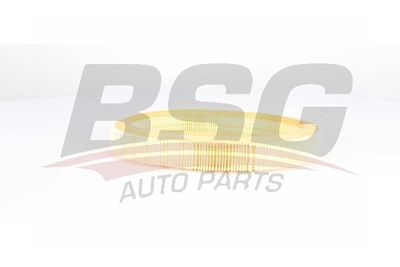 Фильтр воздушный BM FA3650