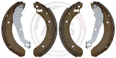 Колодки тормозные барабанные TRUSTING 040117