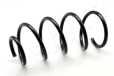 Пружина передняя STANDARD SPRINGS ST104077F