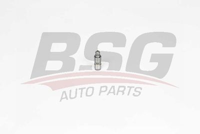 Гидрокомпенсатор BSG BSG40122025