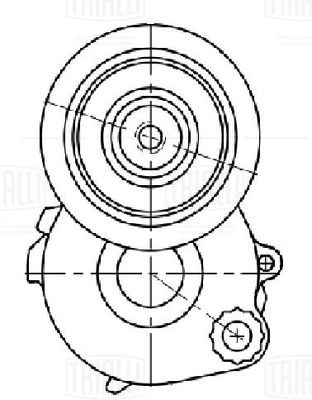 Натяжитель приводного ремня TRIALLI CM5656