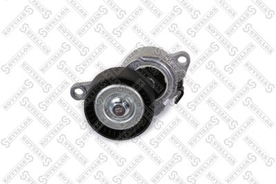 Ролик натяжителя STELLOX 0340997SX