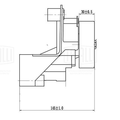 Ролик-натяжитель приводного ремня TRIALLI CM1924
