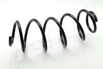 Пружина передняя STANDARD SPRINGS ST125077F