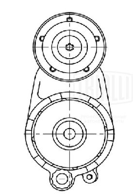 Натяжитель приводного ремня TRIALLI CM5447