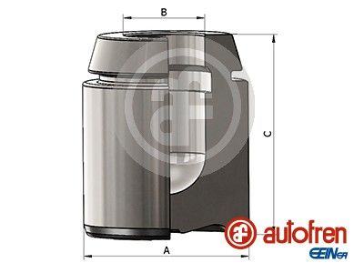 Поршень тормозного суппорта SEINSA AUTOFREN D025493