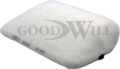 Фильтр салона GOODWILL AG929CF