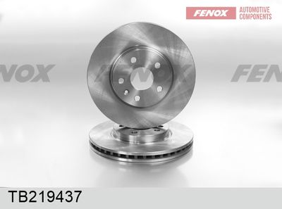 Диск тормозной передний FENOX TB219437