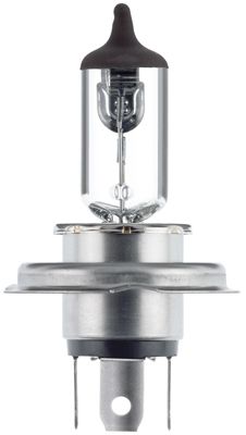 Лампа HELLA 8GJ223498121