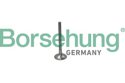 Клапан выпускной Borsehung B19012