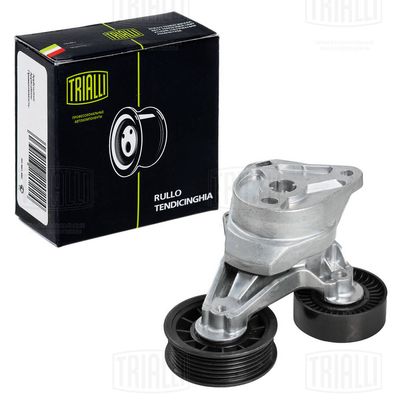 Ролик натяжителя ремня CAFFARO 17800