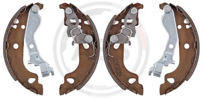 Колодки тормозные барабанные TRUSTING 034103Y