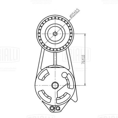Ролик-натяжитель приводного ремня TRIALLI CM5137