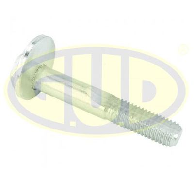 Болт эксцентриковый TORQUE CP002