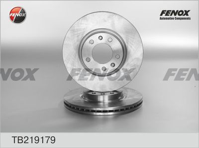Диск тормозной передний FENOX TB219179