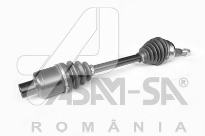 Привод ASAM 30998