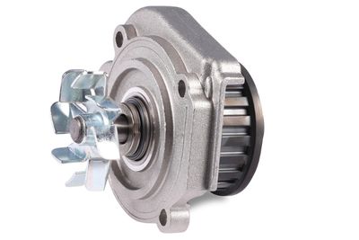 Насос водяной HEPU P094