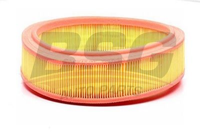 Фильтр воздушный BSG BSG30135013