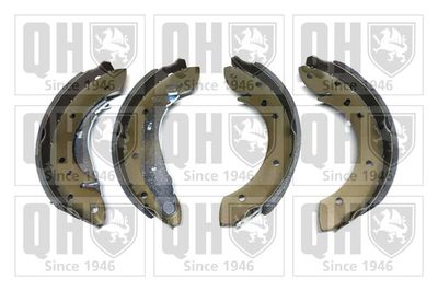 Колодки тормозные барабанные BM BS1004
