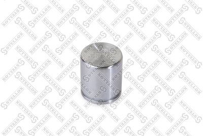 Поршень тормозного суппорта STELLOX 0498331SX