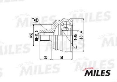 ШРУС наружный Miles GA20012