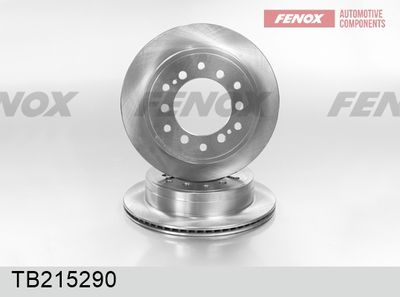 Диск тормозной задний FENOX TB215290