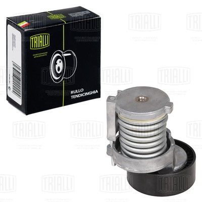 Ролик натяжителя ремня CAFFARO 0100