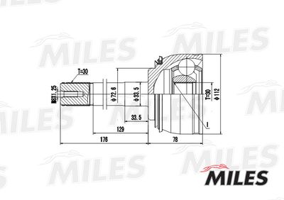 ШРУС наружный Miles GA20487