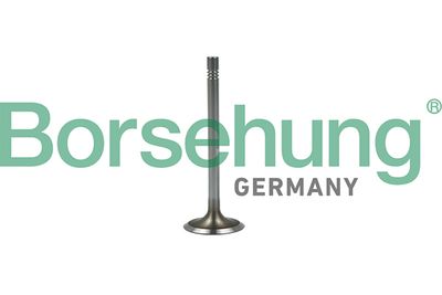 Клапан впускной Borsehung B19022