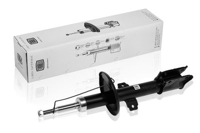 Амортизатор передний TRIALLI AG09053