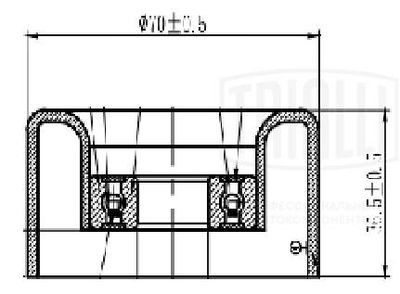 Ролик натяжной приводного ремня TRIALLI CM6216