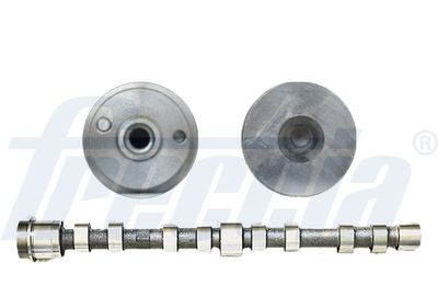 Распредвал FRECCIA CM052273