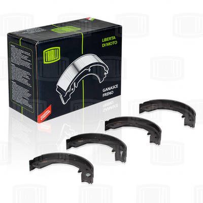 Колодки стояночного тормоза TRIALLI GF1102