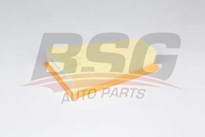 Фильтр воздушный BSG BSG60135028