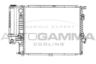Радиатор охлаждения двигателя TERMAL 500607