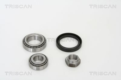 Ступица колеса в сборе с подшипником передняя DEQST 107236