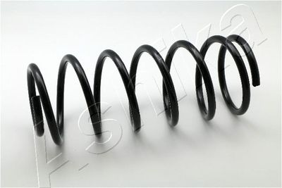 Пружина передняя STANDARD SPRINGS ST107003F